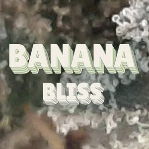 Banana Bliss Cannabis Strain