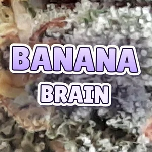 Banana Brain Cannabis Strain
