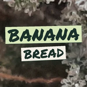 Banana Bread Cannabis Strain