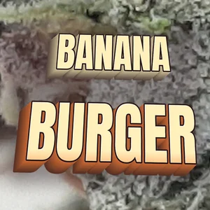 Banana Burger Cannabis Strain