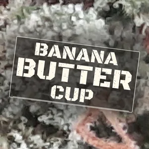 Banana Butter Cup Cannabis Strain