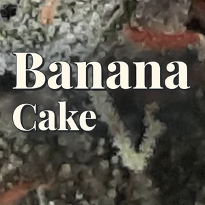 Banana Cake Cannabis Strain