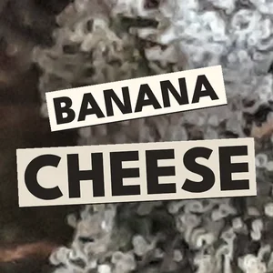 Banana Cheese Cannabis Strain