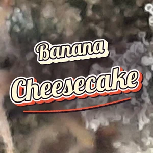 Banana Cheesecake Cannabis Strain