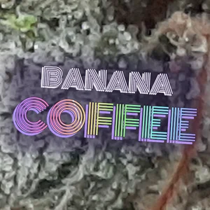 Banana Coffee Cannabis Strain