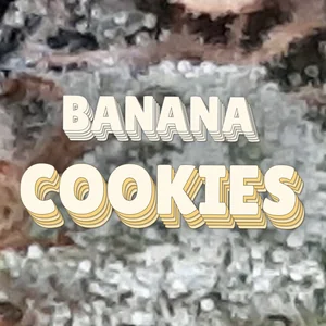 Banana Cookies Cannabis Strain