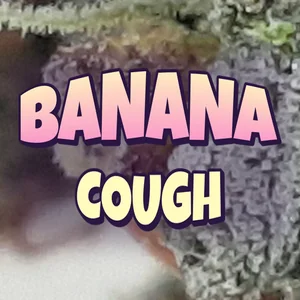 Banana Cough Cannabis Strain