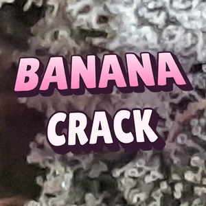 Banana Crack Cannabis Strain