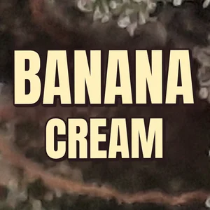 Banana Cream Cannabis Strain
