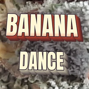 Banana Dance Cannabis Strain