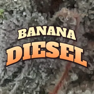 Banana Diesel Cannabis Strain