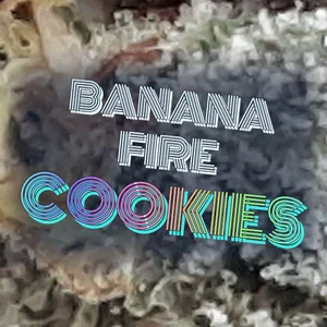 Banana Fire Cookies Cannabis Strain