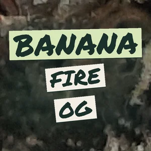 Banana Fire OG Cannabis Strain