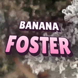 Banana Foster Cannabis Strain