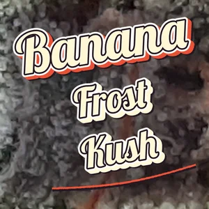 Banana Frost Kush Cannabis Strain