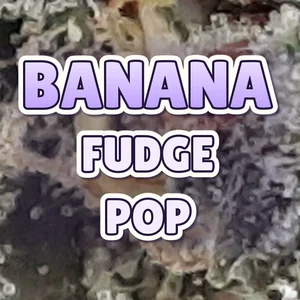 Banana Fudge Pop Cannabis Strain