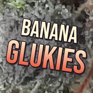Banana Glukies Cannabis Strain