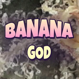Banana God Cannabis Strain