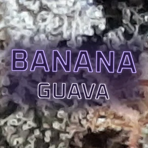 Banana Guava Cannabis Strain