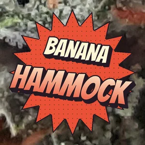 Banana Hammock Cannabis Strain