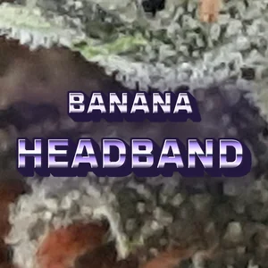 Banana Headband Cannabis Strain