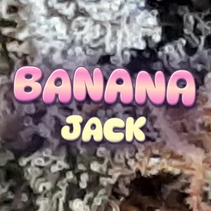 Banana Jack Cannabis Strain