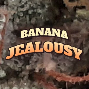 Banana Jealousy Cannabis Strain
