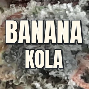 Banana Kola Cannabis Strain