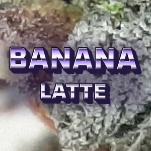 Banana Latte Cannabis Strain