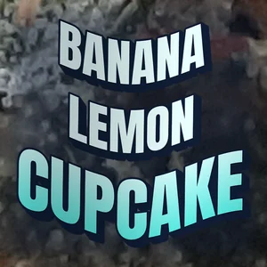 Banana Lemon Cupcake Cannabis Strain