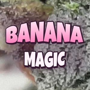 Banana Magic Cannabis Strain