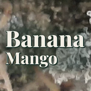 Banana Mango Cannabis Strain