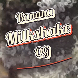 Banana Milkshake OG Cannabis Strain
