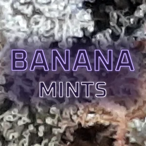 Banana Mints Cannabis Strain