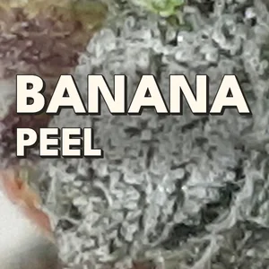 Banana Peel Cannabis Strain