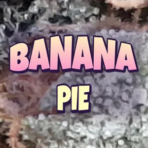Banana Pie Cannabis Strain