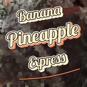 Banana Pineapple Express Cannabis Strain