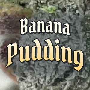 Banana Pudding Cannabis Strain
