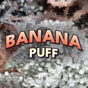 Banana Puff Cannabis Strain