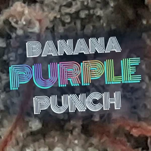 Banana Purple Punch Cannabis Strain