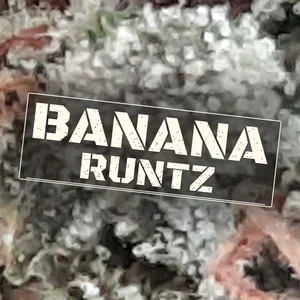 Banana Runtz Cannabis Strain