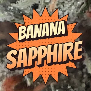 Banana Sapphire Cannabis Strain