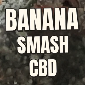 Banana Smash CBD Cannabis Strain