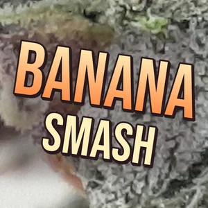 Banana Smash Cannabis Strain