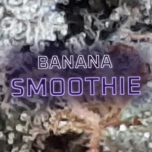 Banana Smoothie Cannabis Strain