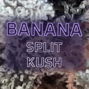 Banana Split Kush Cannabis Strain
