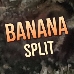Banana Split Cannabis Strain
