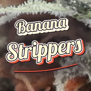 Banana Strippers Cannabis Strain