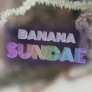 Banana Sundae Cannabis Strain