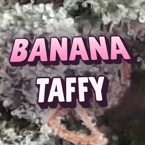 Banana Taffy Cannabis Strain